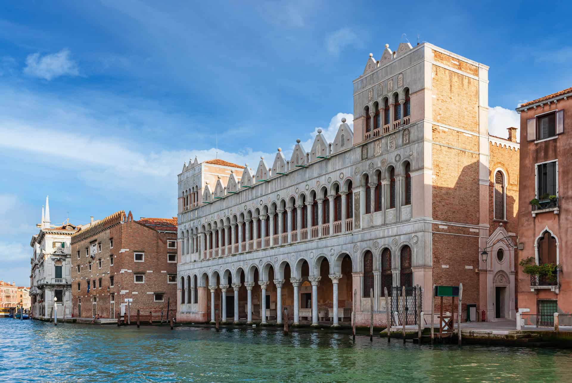 musee histoire naturelle venise